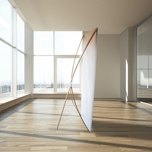 Show details for Bamboo X Banner